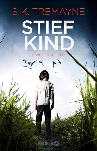 Cover für Stiefkind