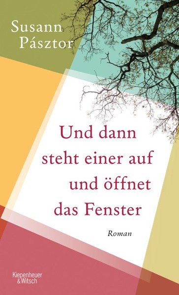 Cover für Und dann steht einer auf und öffnet das Fenster