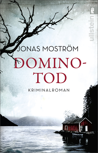 Cover für Dominotod