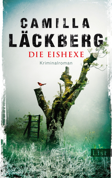 Cover für Die Eishexe